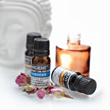 10 ml Eucalyptus Essential Oil  10 ml Eucalyptus Essential Oil
