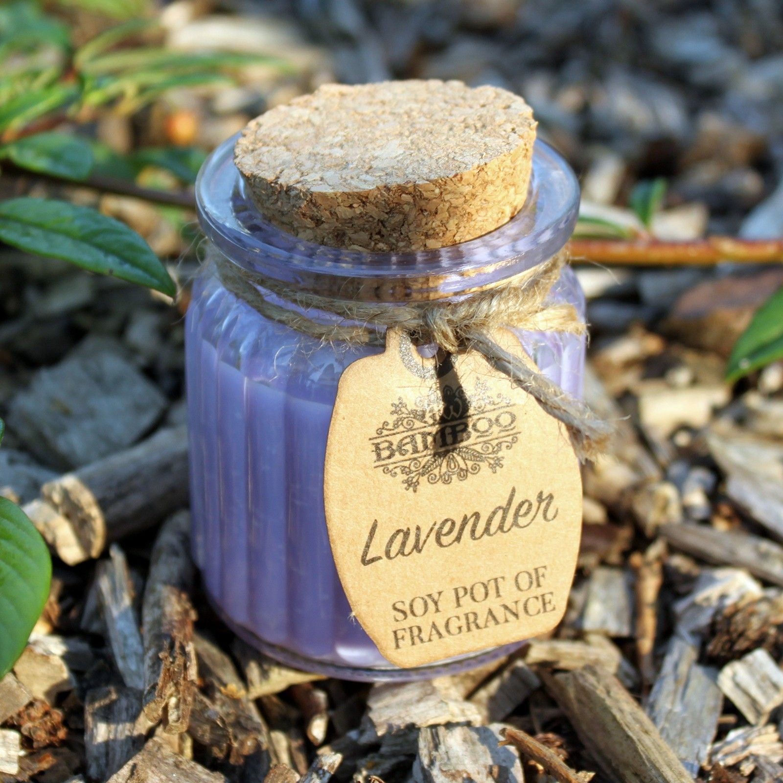 Lavender Soy Pot of Fragrance Candles  Lavender Soy Pot of Fragrance Candles