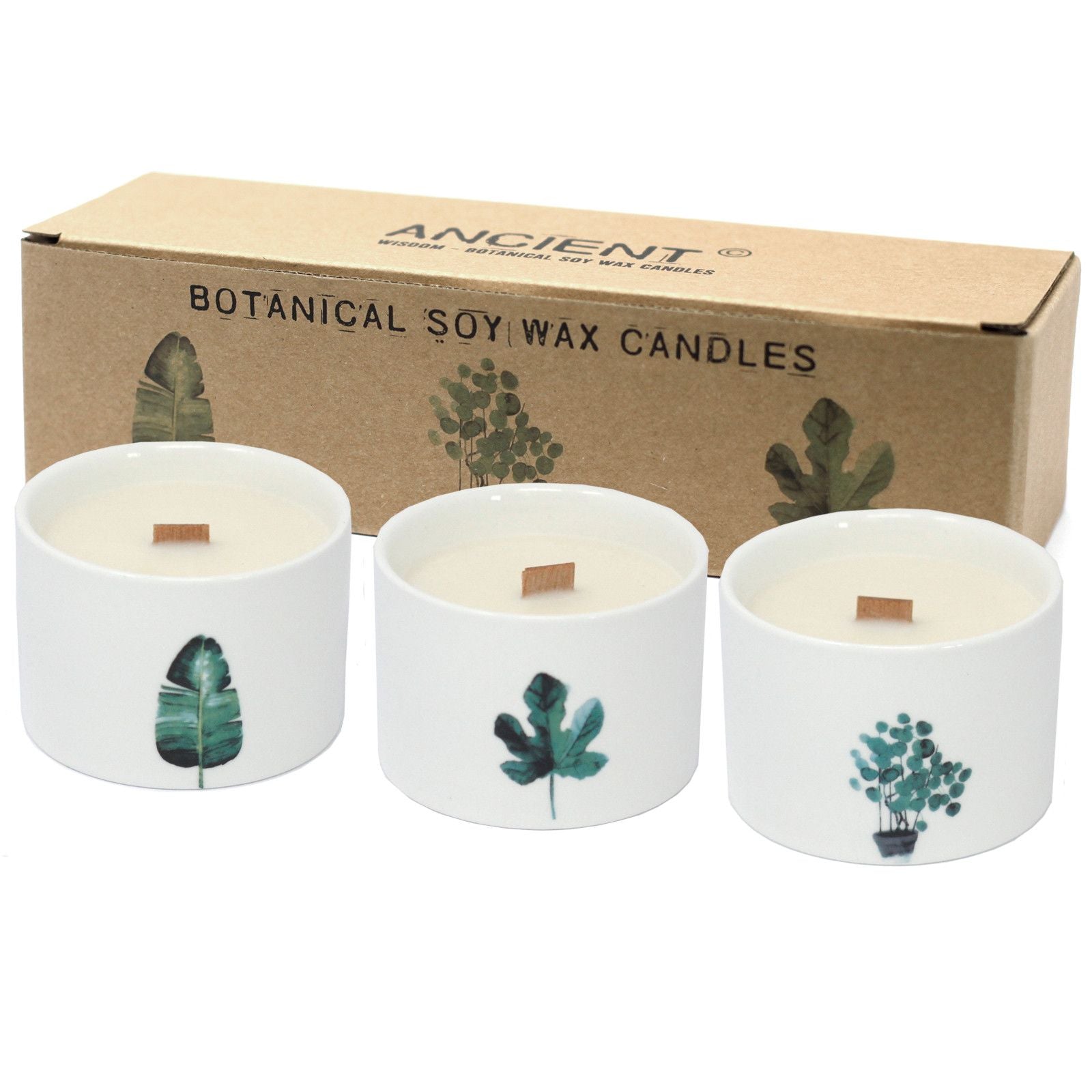 Med Botanical Candles - Mullberry Harvest  Med Botanical Candles - Mullberry Harvest