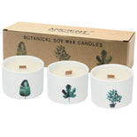 Med Botanical Candles - Mullberry Harvest  Med Botanical Candles - Mullberry Harvest