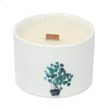 Med Botanical Candles - Lemon Honeysuckle  Med Botanical Candles - Lemon Honeysuckle
