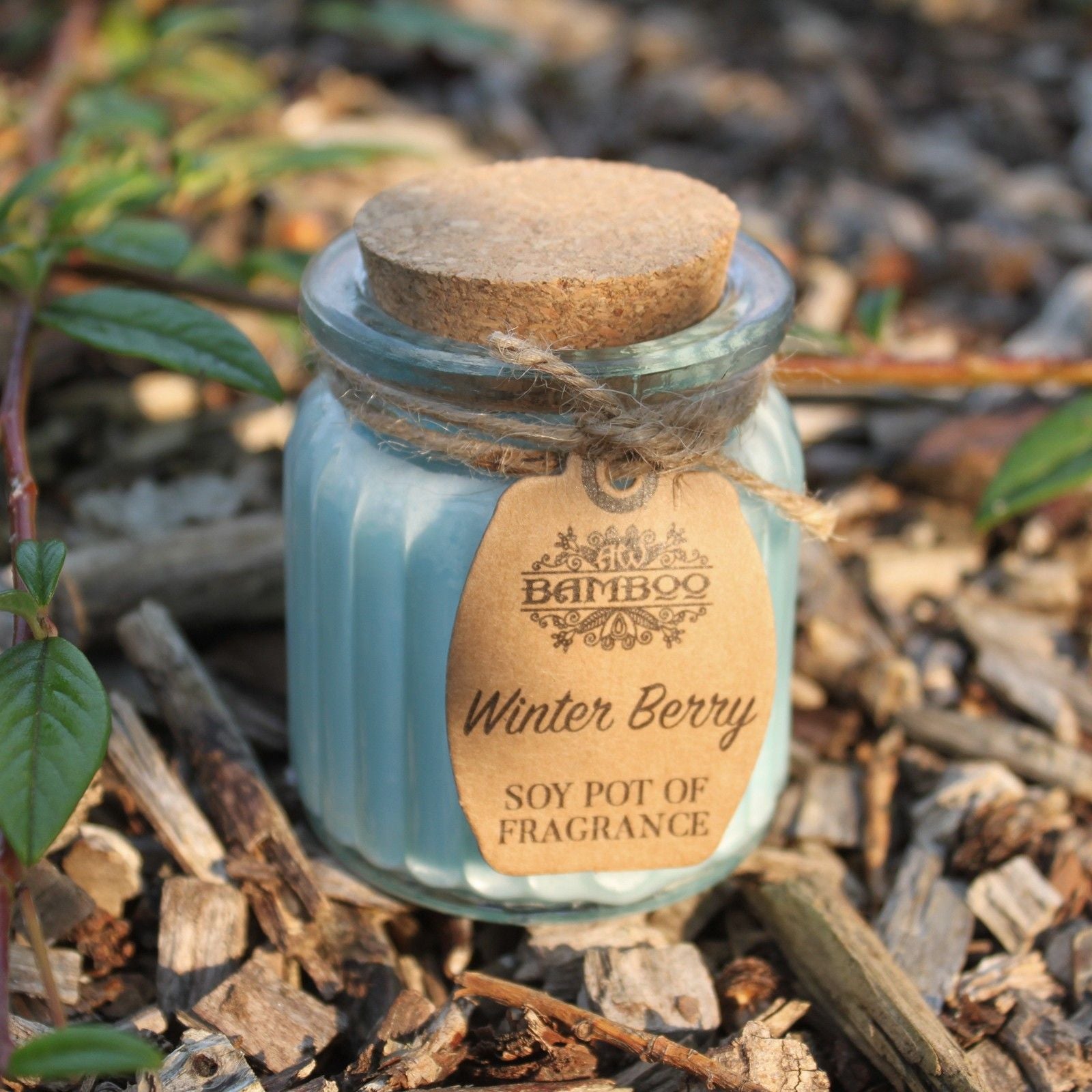 Winter Berry Soy Pot of Fragrance Candles  Winter Berry Soy Pot of Fragrance Candles