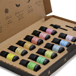 Aromatherapy Essential Oil Set - Starter Pack  Aromatherapy Essential Oil Set - Starter Pack