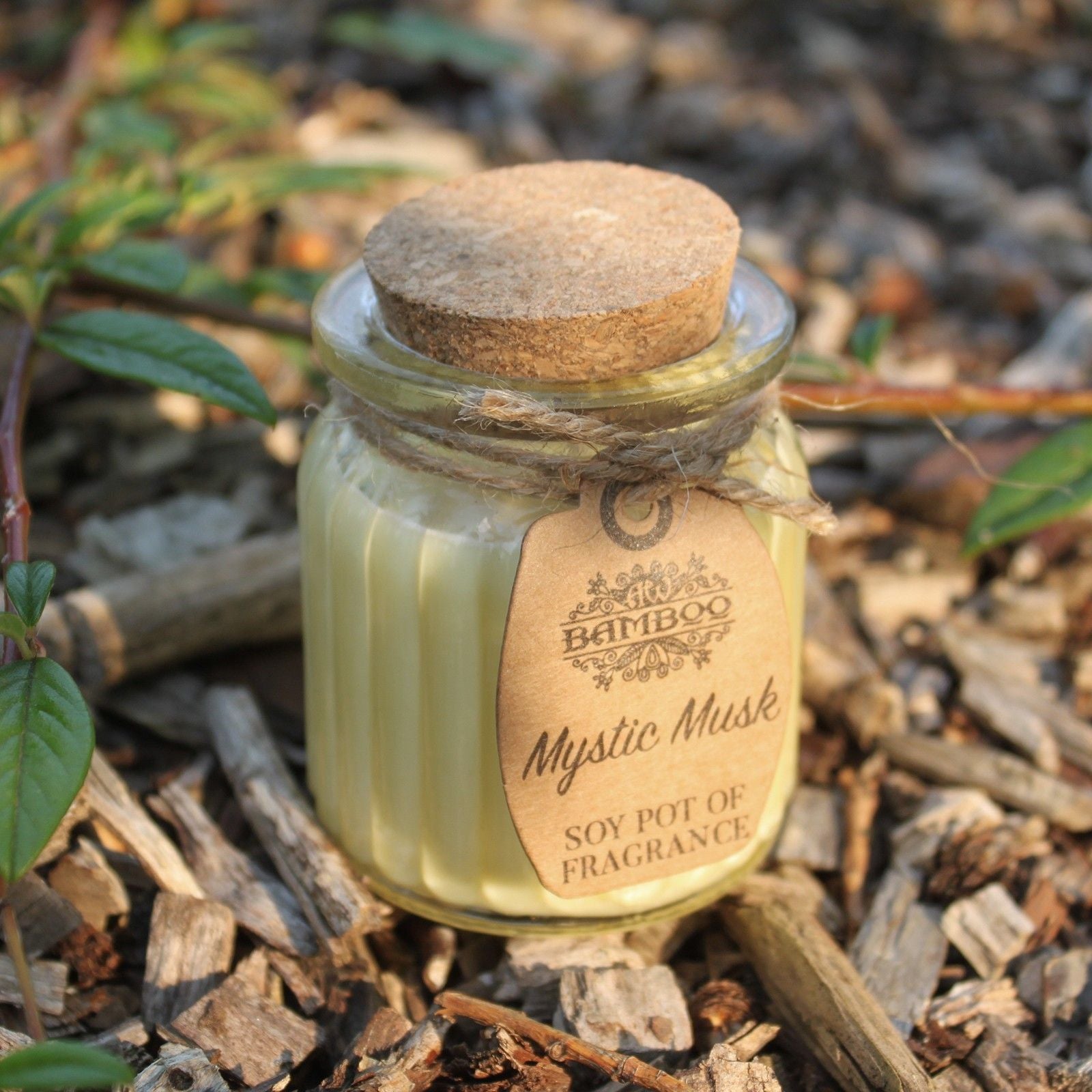 Mystic Musk Soy Pot of Fragrance Candles  Mystic Musk Soy Pot of Fragrance Candles